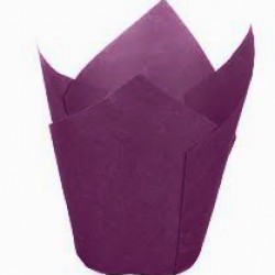 forma tulip mov