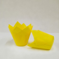 forma tulip kitrini