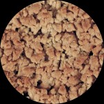Crumble Dry Hazelnut